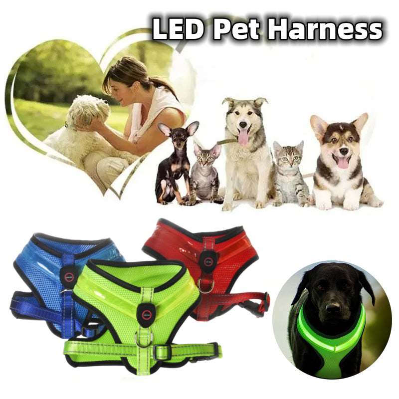 Harnais lumineux pour chien à LED, sangle de poitrine pour chien avec chargement USB 