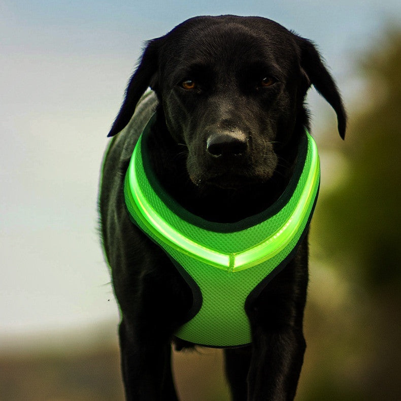 Harnais lumineux pour chien à LED, sangle de poitrine pour chien avec chargement USB 