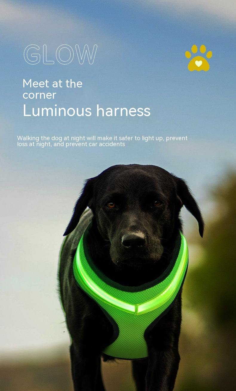 Harnais lumineux pour chien à LED, sangle de poitrine pour chien avec chargement USB 